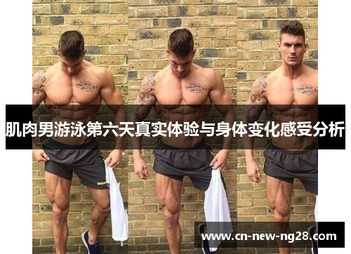 肌肉男游泳第六天真实体验与身体变化感受分析