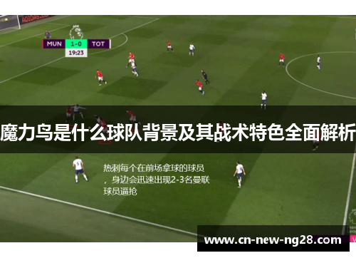 魔力鸟是什么球队背景及其战术特色全面解析 魔力鸟是什么球队背景及其战术特色全面解析