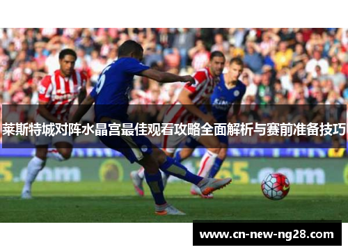 莱斯特城对阵水晶宫最佳观看攻略全面解析与赛前准备技巧