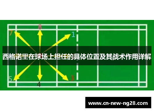 西格诺里在球场上担任的具体位置及其战术作用详解