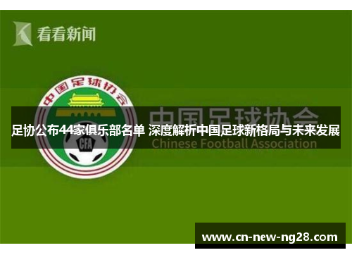 足协公布44家俱乐部名单 深度解析中国足球新格局与未来发展