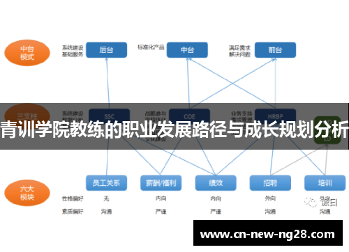 青训学院教练的职业发展路径与成长规划分析