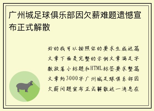 广州城足球俱乐部因欠薪难题遗憾宣布正式解散